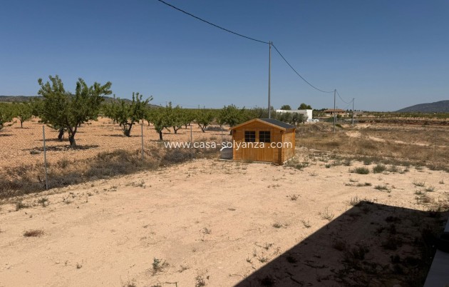 Revente - Villa - Pinoso - Inland