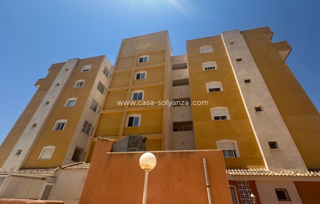 Revente - Appartement - Guardamar del Segura - Costa Blanca