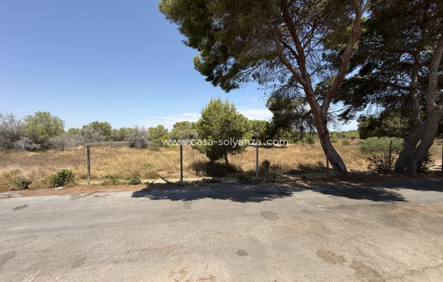Resale - Bungalow - Torrevieja - 0