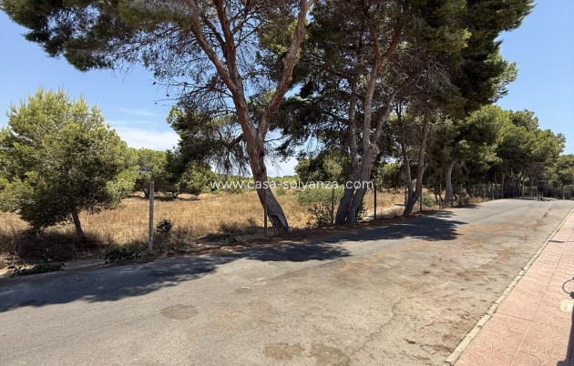 Resale - Bungalow - Torrevieja - 0