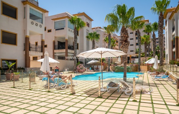 Resale - Apartment / flat - Guardamar del Segura - Costa Blanca
