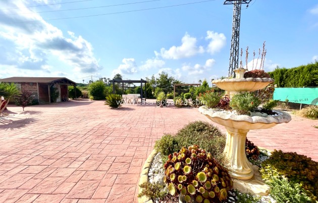Wiederverkauf - Villa - Catral - Costa Blanca
