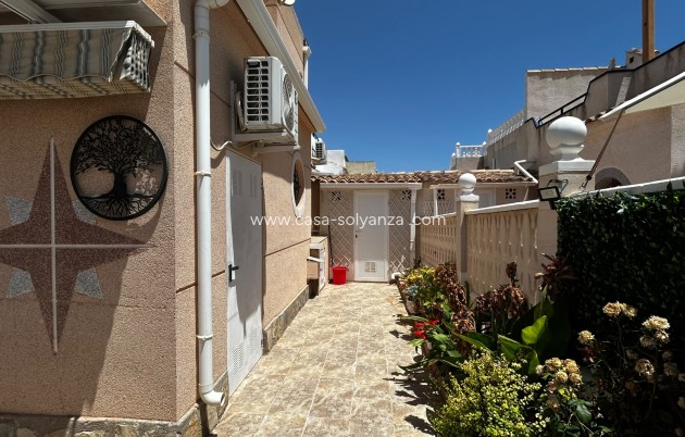 Revente - Maison de ville - Playa Flamenca - Orihuela Costa